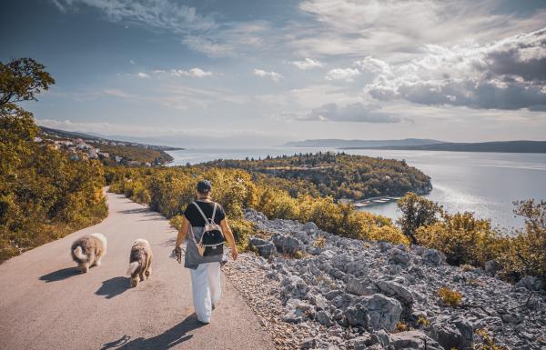 Kvarner je postao prava Pet Friendly destinacija