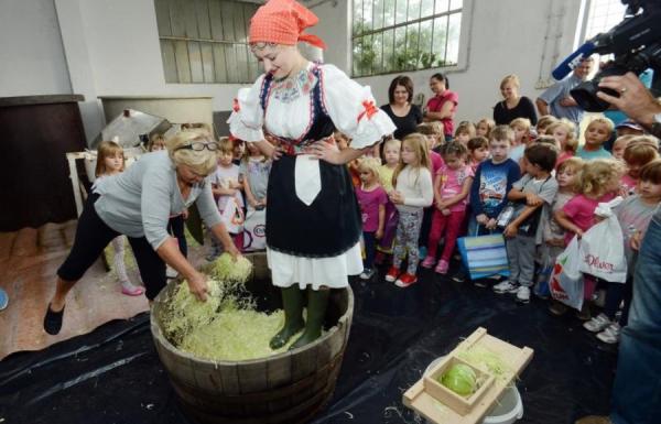 arhiva općine Vidovec