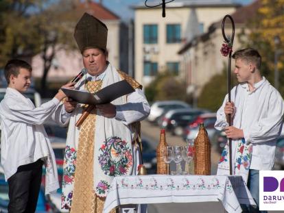 Martinje u gradu Daruvaru