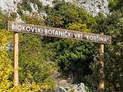 Botanički vrt Kotišina