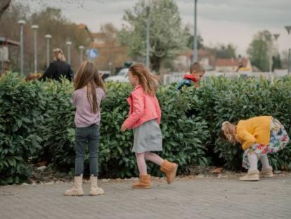 Potraga pisanice Vukovar