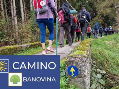 Camino Banovina