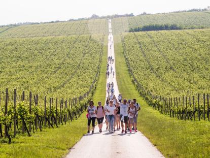 Baranja Wine and Walk