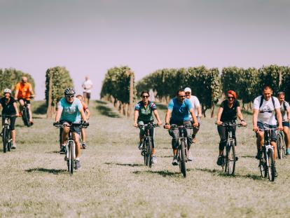 Wine & Bike Tour Erdut